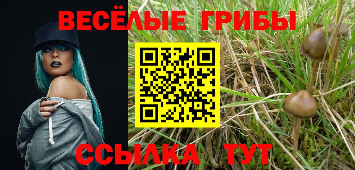 Галлюциногенные грибы GOLDEN TEACHER  Галлюциногенные грибы Cubensis  Семёнов  Вход с VPN 